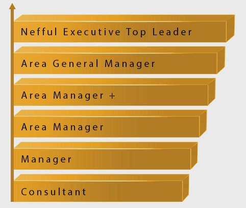 regulation-hierarchy-chart